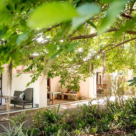 侯斯普瑞特Francines Venue Pty Ltd住宿加早餐旅馆 外观 照片
